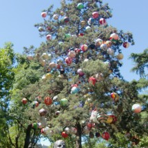 Christmas tree in Zarate